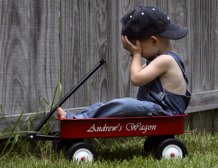 Andrew's Wagon