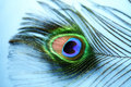 MistyEyed
