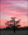 Light of a New Day!