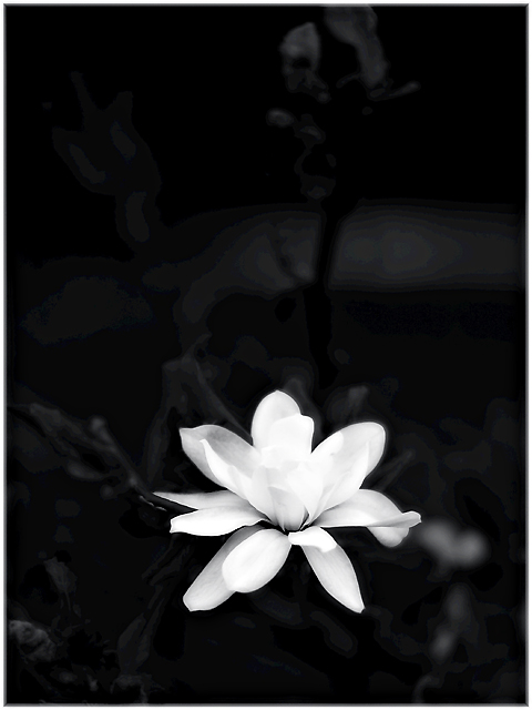 Inner Glow
