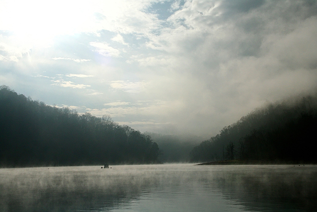 Foggy morning