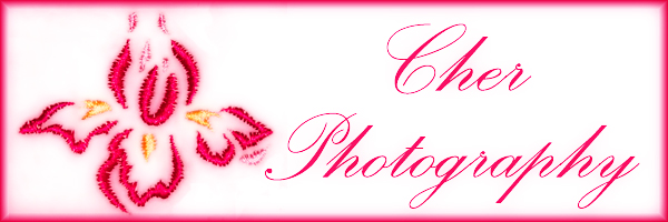 My New Logo