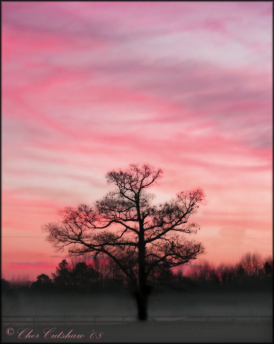 Light of a New Day!