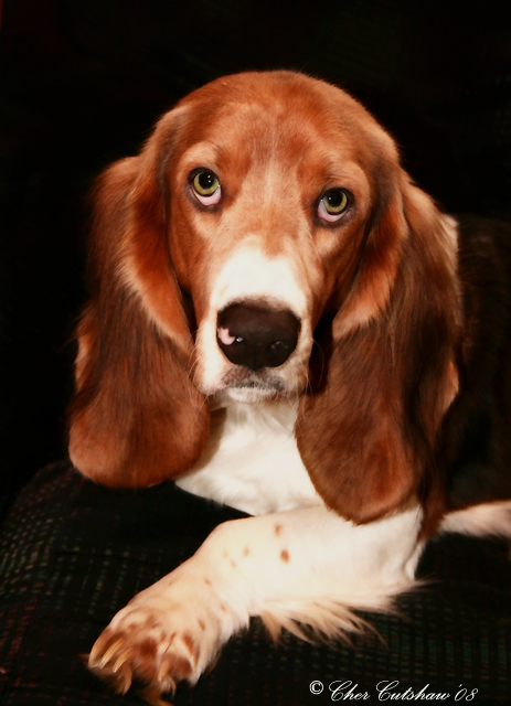 Is this a good pose mom?