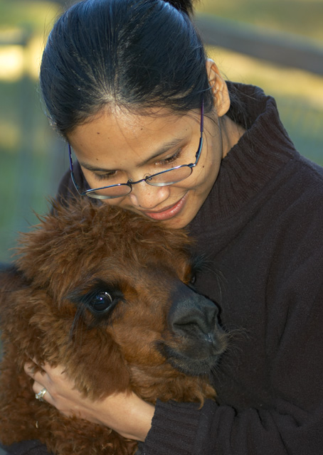 Alpaca Cuddle