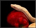 Temptation Redone