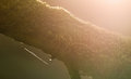 Sunlit Ceader