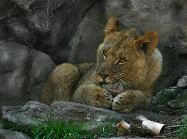 Snack Time
