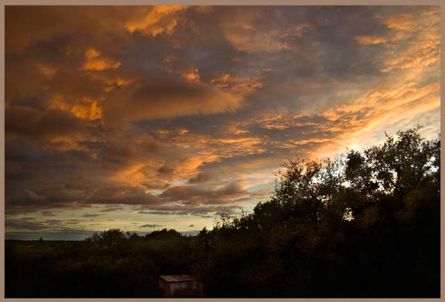 Sunset Skies