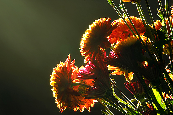 A Little Illumination