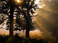 Autumn Magic
