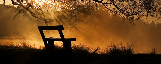 Bench Inspiration