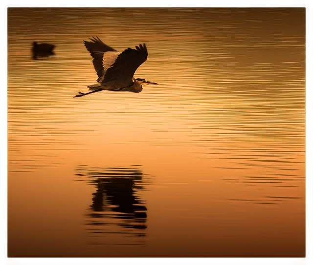 Sunset Flyby