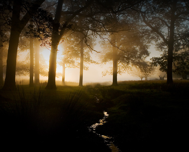Mystic
