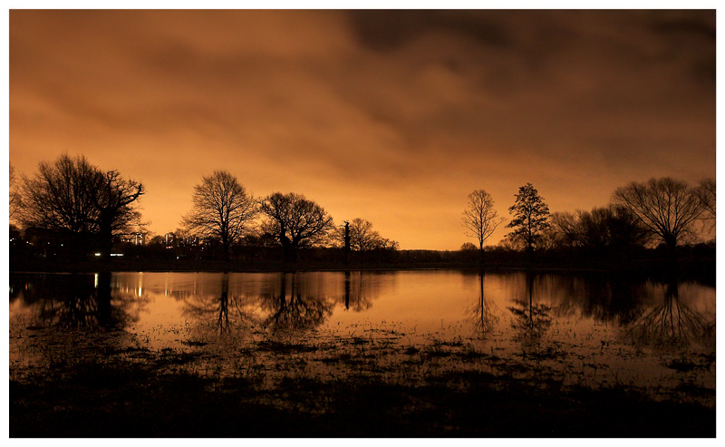 Midnight Reflections