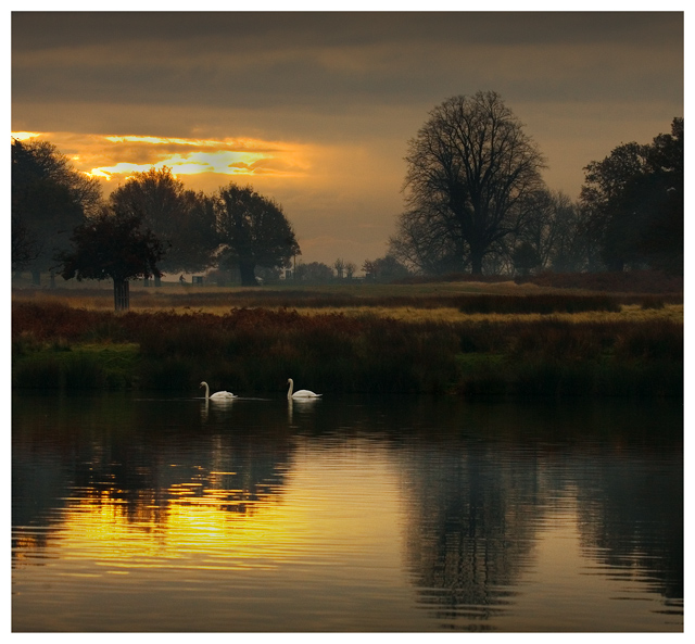 Early Morning on the Lake