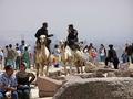 Cairo from the pyramids at Giza