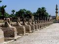 line-of-sphinx.jpg