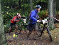 Top of the climb