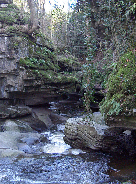 small gorge