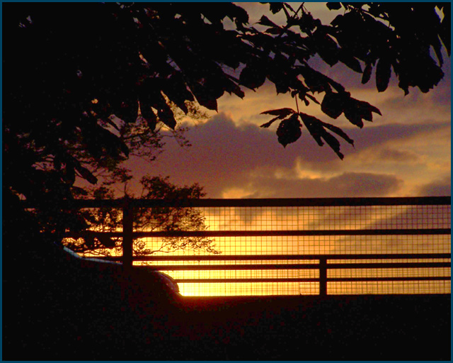 100_6597highcontrast1.jpg