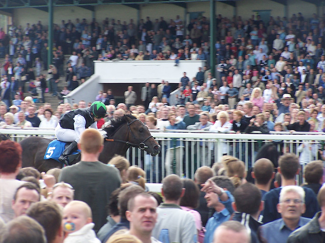 ripon-races-002web.jpg