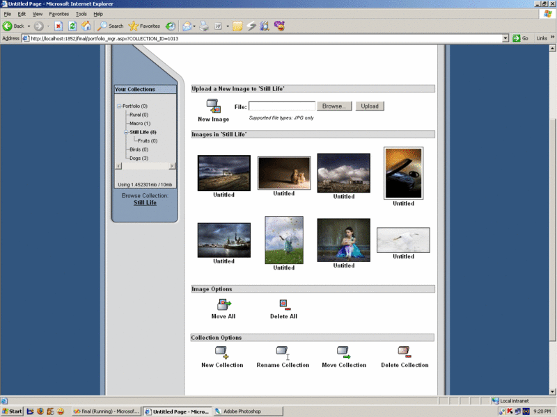 My portfolio Manager
