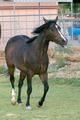 solana2IMG_1358.jpg