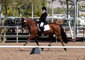 dressage2.jpg