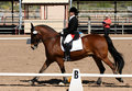dressage4.jpg
