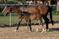 shiloh4025.jpg