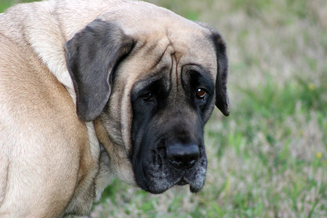 sasha029.jpg