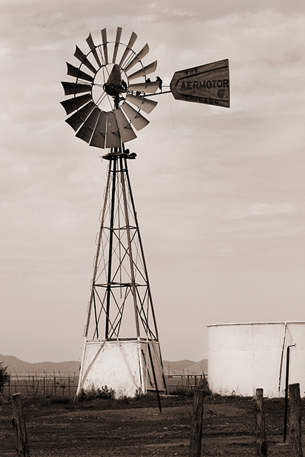 windmil4843.jpg