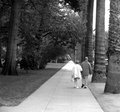 WalkInPark