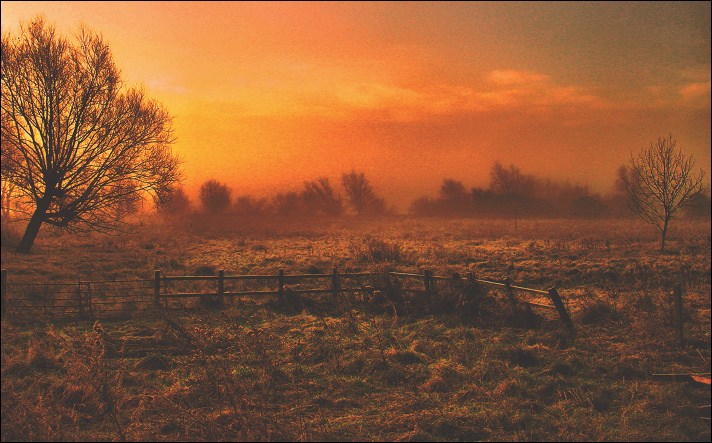 . Unfenced .
