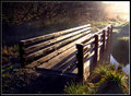 Foot Bridge