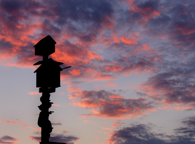Bird Houses