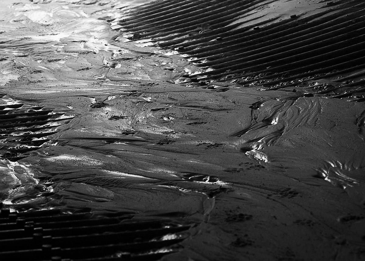 DPC_5268