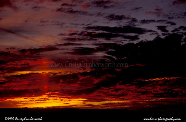 TheSunset1.jpg