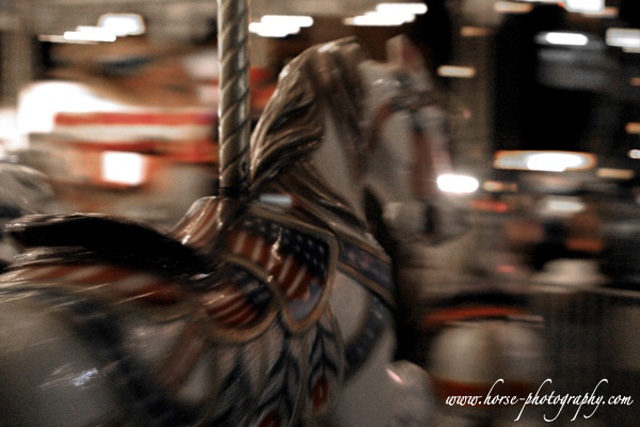 carousel5SM.jpg