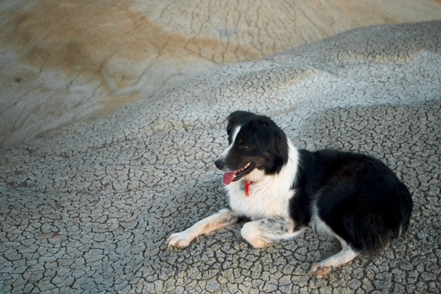 Cody2207Web.jpg