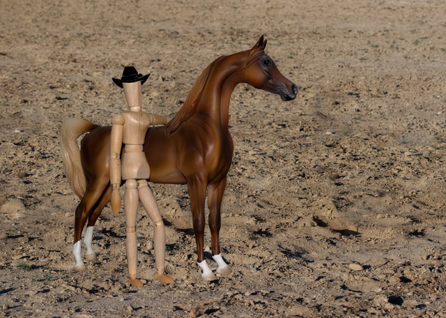 Woodhorse6526web.jpg