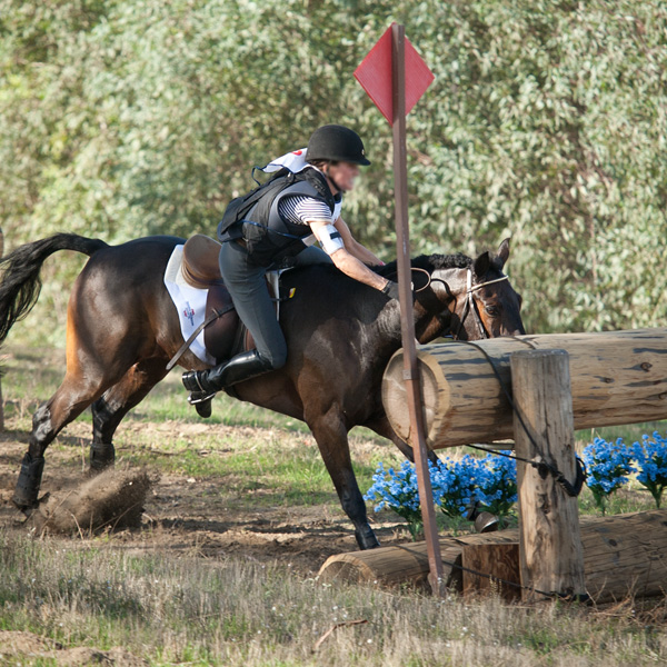 FallPPIX4939