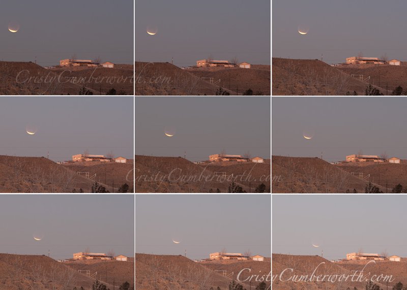 EclipseCollagesm