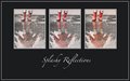 SPLASHYMontage0805.jpg