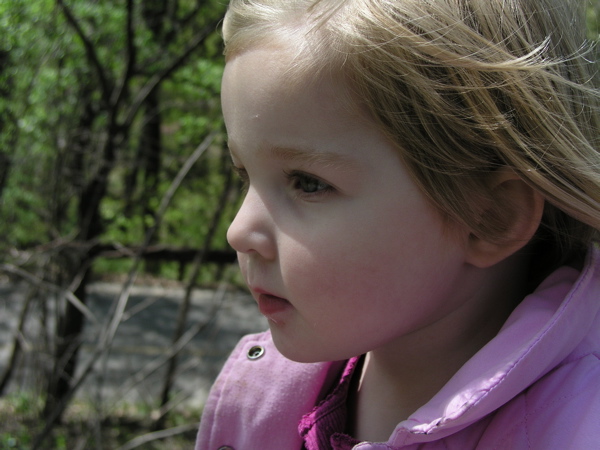 Chilly Spring Afternoon
