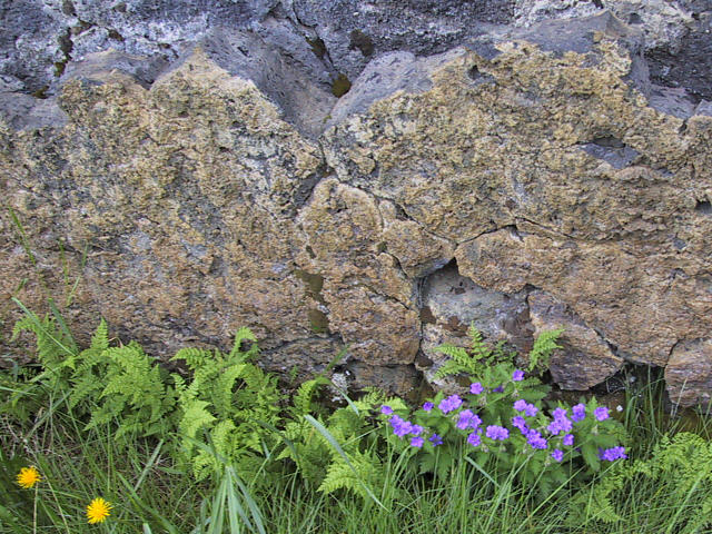 Along the lavaflow