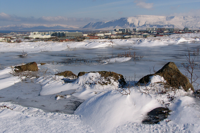 Frozen pond