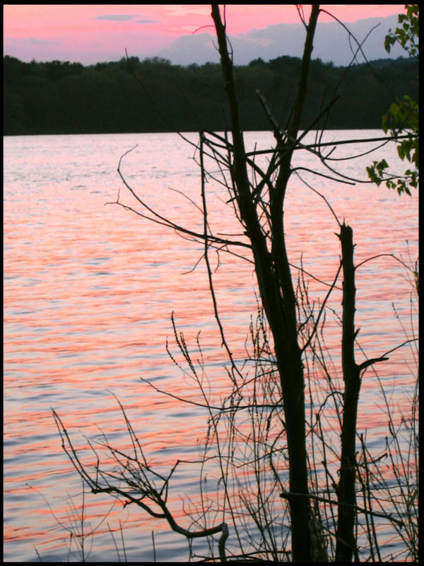 image1.jpg
