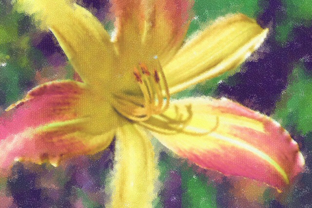 suesmack-flower3.jpg